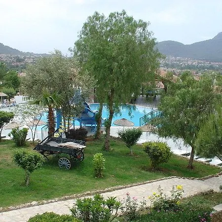 Violet Hotel
